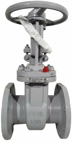 Zadvizhka-stalnaya-klinovaya-30s41nzh-DN100-PN16