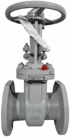 Zadvizhka-stalnaya-klinovaya-30s41nzh-DN100-PN16