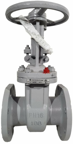 Zadvizhka-stalnaya-klinovaya-30s41nzh-DN100-PN16