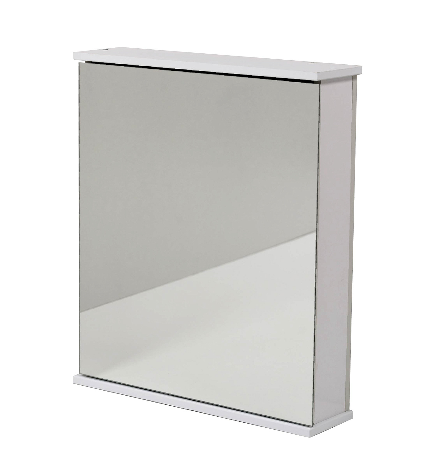 мимоза открытая-01